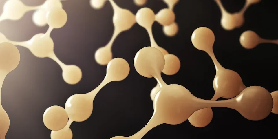 Skin & Regenerative Research
